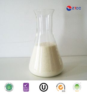 Calcium Stearoyl Lactylate (CSL)